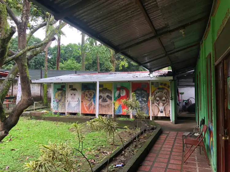Hotels near Costa Rica Animal Rescue Center
