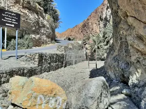 Wadi Shees