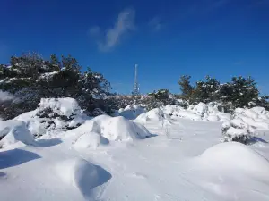 Yamanlardag Natural Park