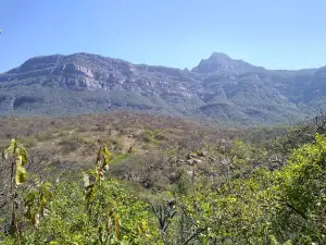 Reserva Ecologica Chaparri