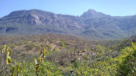 Reserva Ecologica Chaparri