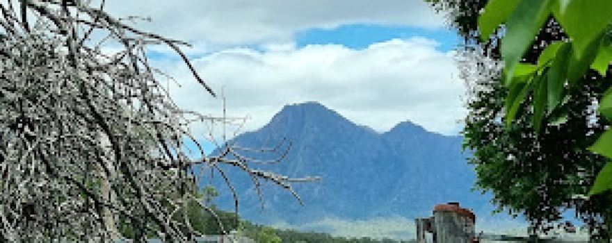 Barney view