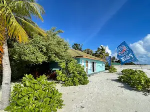Southern Maldives divers
