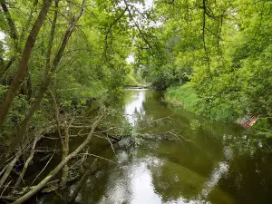 Spływy kajakowe. Stanica Obra Skwierzyna. Kajakajak.com