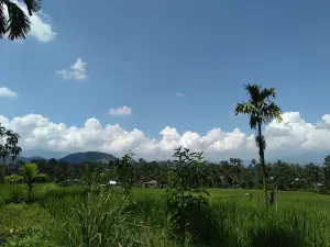 Lubuk Dagung