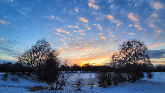 Sandtrockenrasen Achim