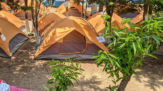 The Sea Turtle Camping Dhërmi