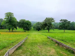 Langley Ranch