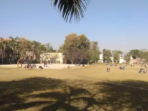 DAV College Playground