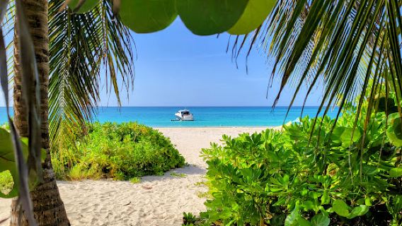 Panorámica de la playa flamenco
