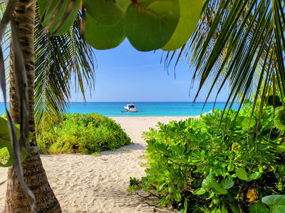 Panorámica de la playa flamenco