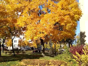 Park im.Tysiąclecia