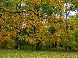 Elbert N. Kunkle Park