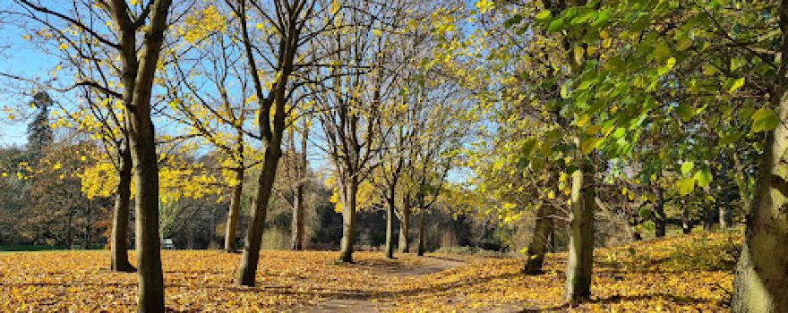 Barclay Park