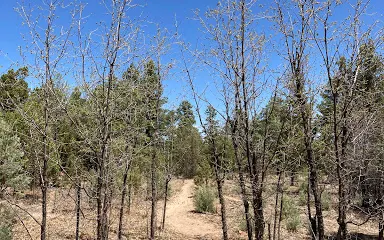 Tall Timbers Trailhead