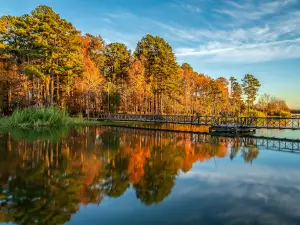 Martin Creek Lake State Park