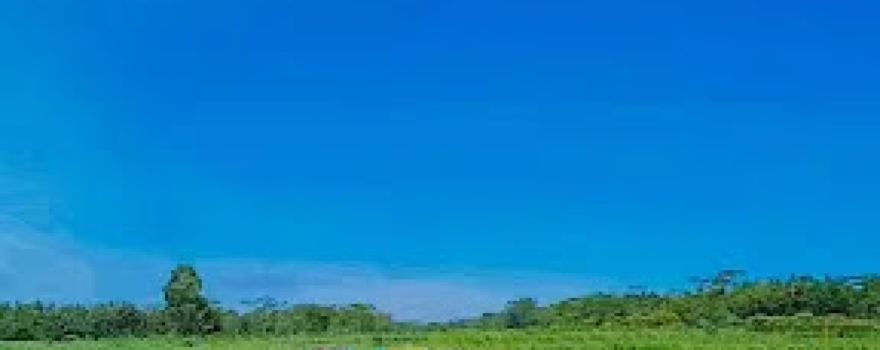 Lapangan Sepak Bola Gunung Malang Jogosimo