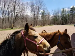 Wild Rock County Park, Campground & Horseback Trails
