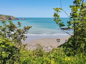 Wall Park Touring & Centry Road Camping