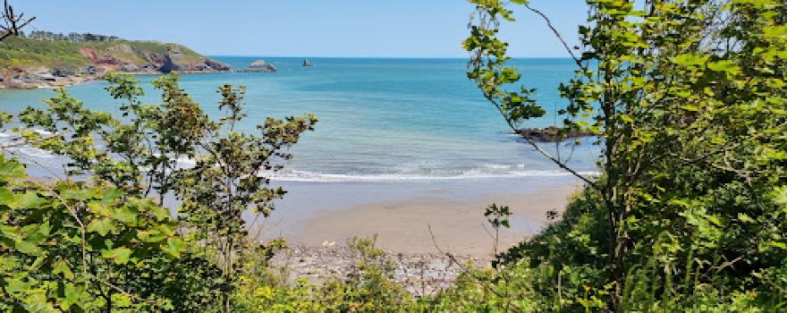 Wall Park Touring & Centry Road Camping