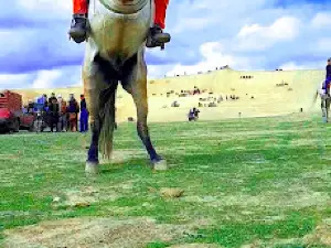 Buzkashi Ground
