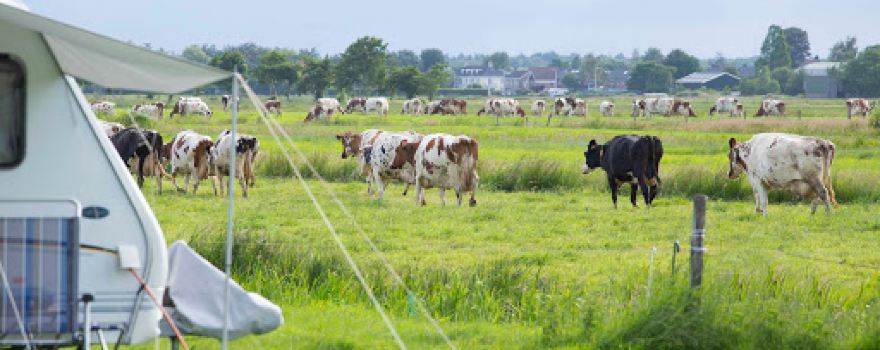 Boerderijcamping Hofstede de Twaalfgaarden
