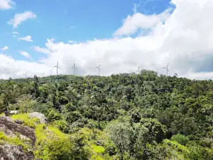 Ramakkalmedu Wind Mill Point (Kattadi Padam)