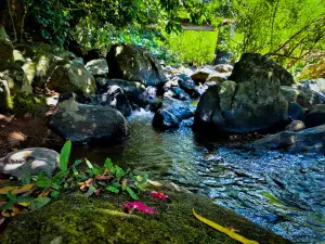 Nalagana Falls