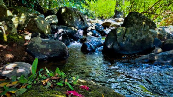 Nalagana Falls