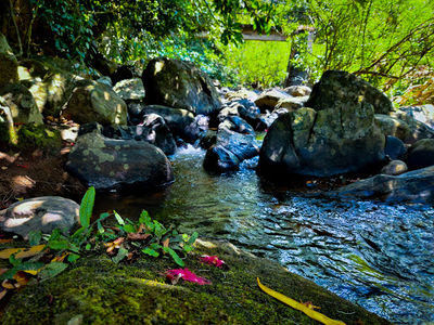 Nalagana Falls