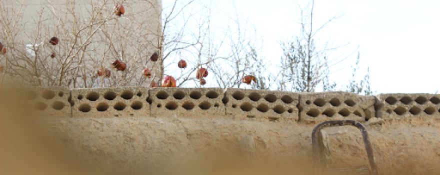 Al Bassel Park