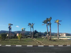 Poliesportiu municipal d'Ontinyent