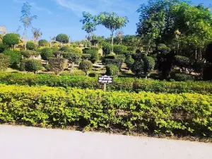 Jhenaidah Treehouse