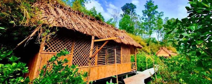Bamboo Garden