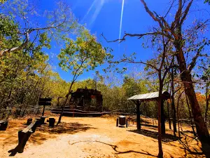 State Park Site Foundation
