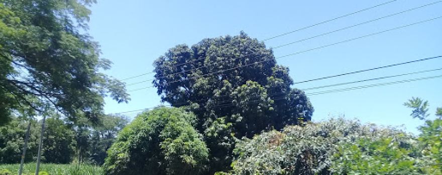 Turicentro Aventura Tropical