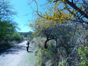 Salto "The Estancita"