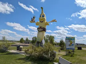 Sunny the Banana