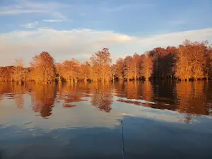 Lake Marion