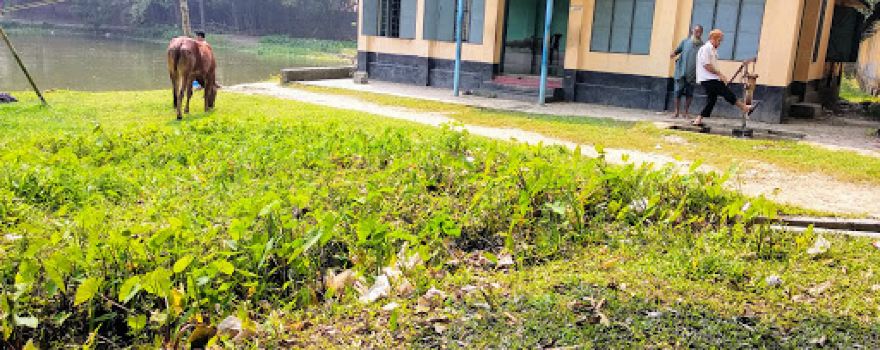 George Academy School Masjid