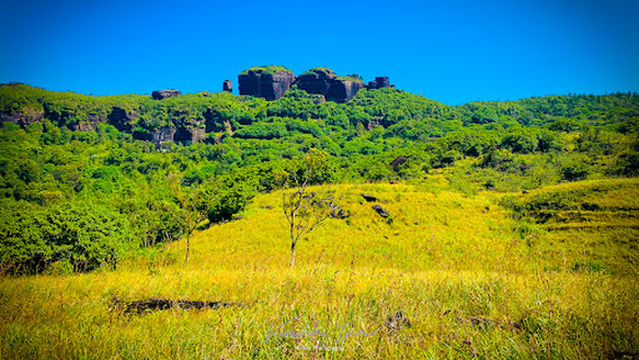 Raksagala - Kinihira Kanda