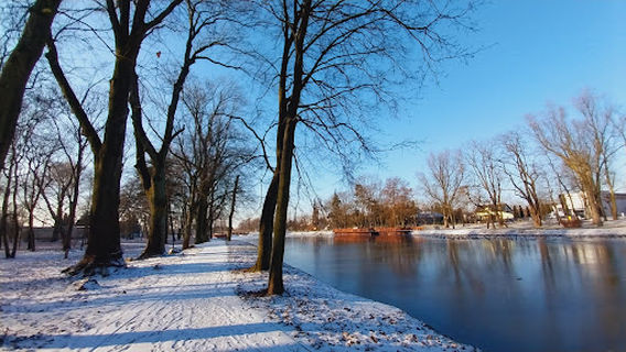 Park Belzacki
