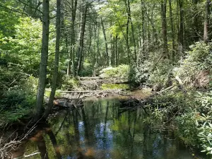 Campground Registration
