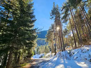 Banderishka meadow