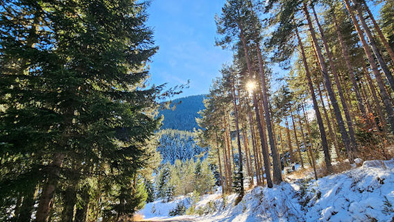 Bansko