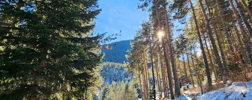 Banderishka meadow