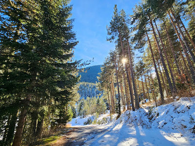 Banderishka meadow