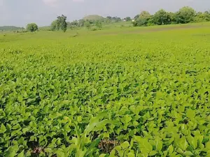 Munderi villege