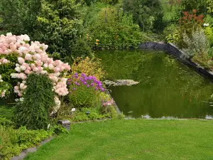 Neva Garden