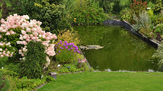 Neva Garden